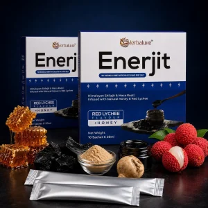 Enerjit 2 Kotak